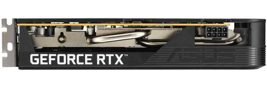 Видеокарта Asus GeForce RTX5050 8GB GDDR6 Dual OC