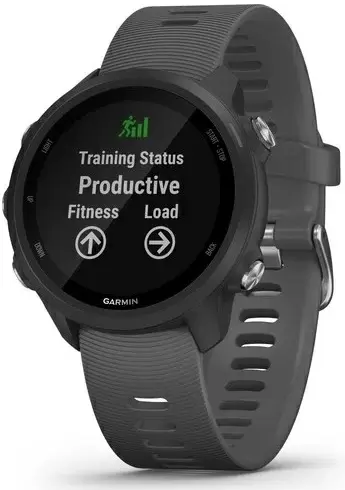 Умные часы Garmin Forerunner 245, серый