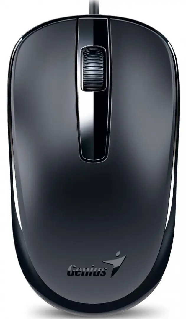 Mouse Genius DX-120, negru pe tehnoparc.md Mouse Genius DX-120, negru