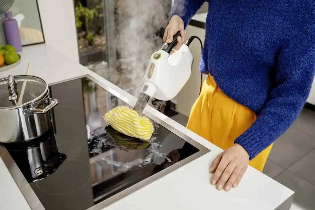 Пароочиститель Karcher SC 1 Multi, белый