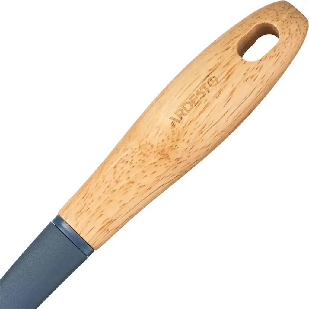 Lingură pentru bucătărie Ardesto AR2124PG, albastru pe tehnoparc.md Lingură pentru bucătărie Ardesto AR2124PG, albastru
