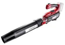 Воздуходувка Raider R20 RDP-BL20