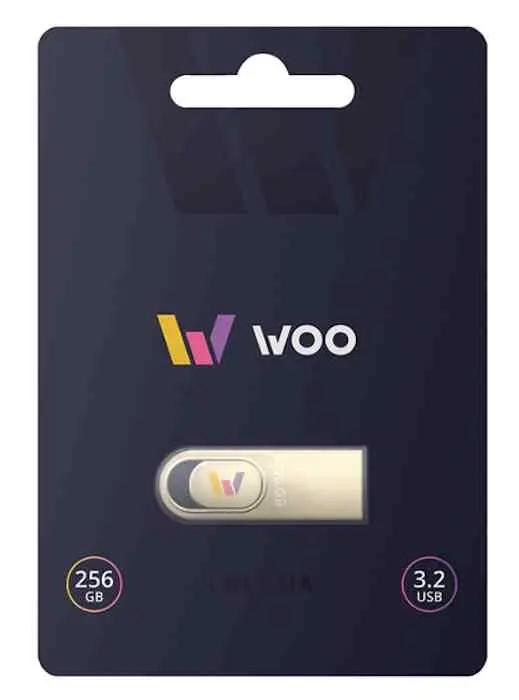 USB-флешка WOO Chroma 256GB, серебристый