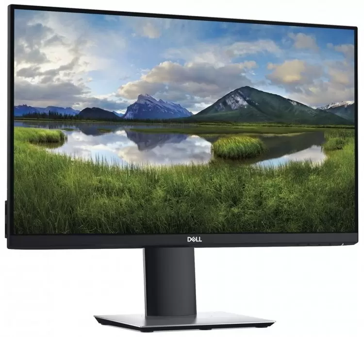 Monitor Dell P2419H, negru