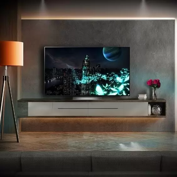 Телевизор LG OLED55C24LA, серый