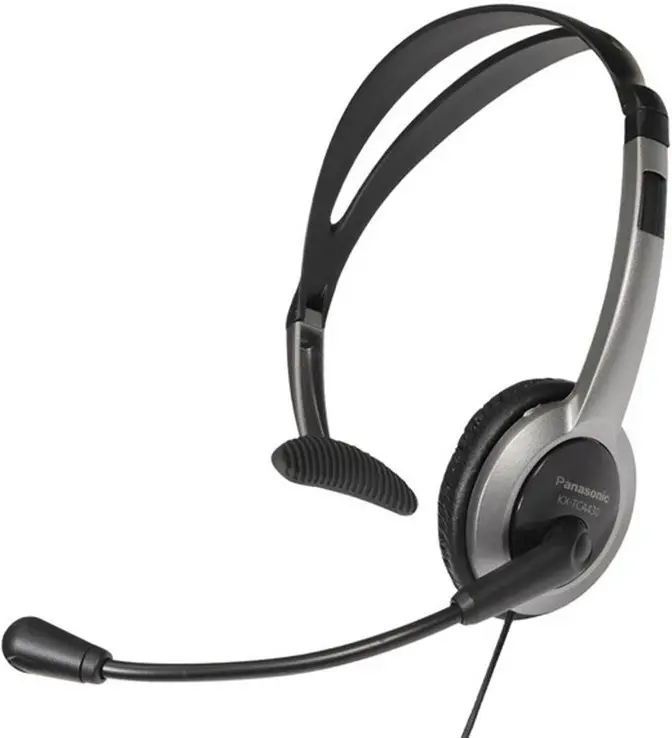 Căşti Panasonic RP-TCA430E-S, negru/argintiu