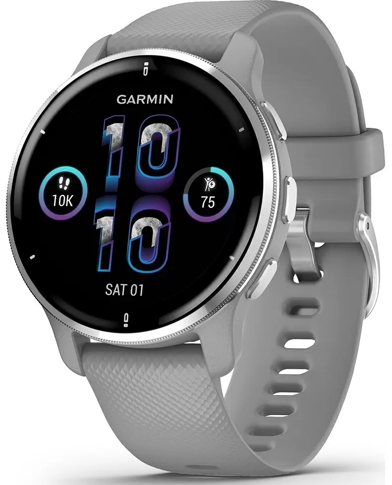 Умные часы Garmin Venu 2, Plus Powerder/Silver