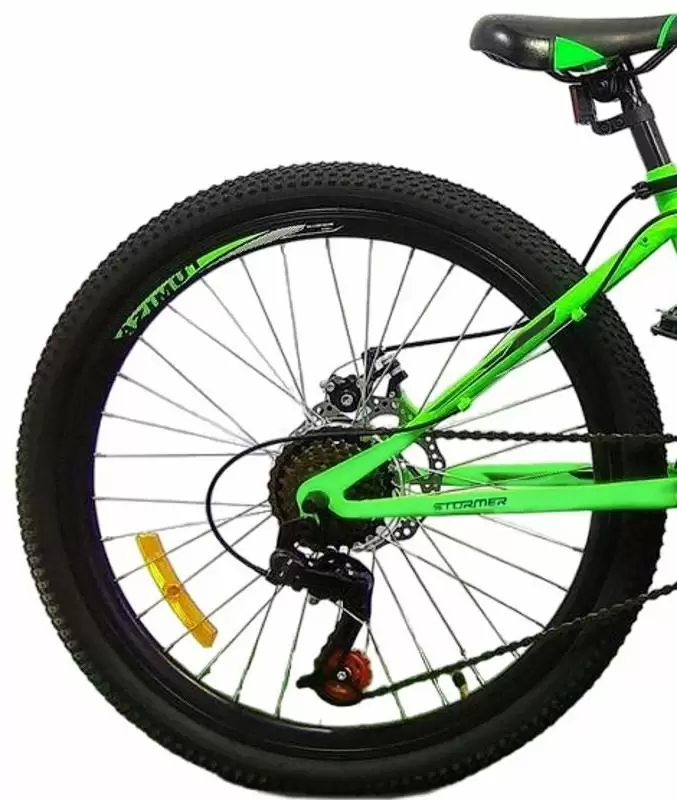 Bicicletă Stormer Forest R24 SKD, verde