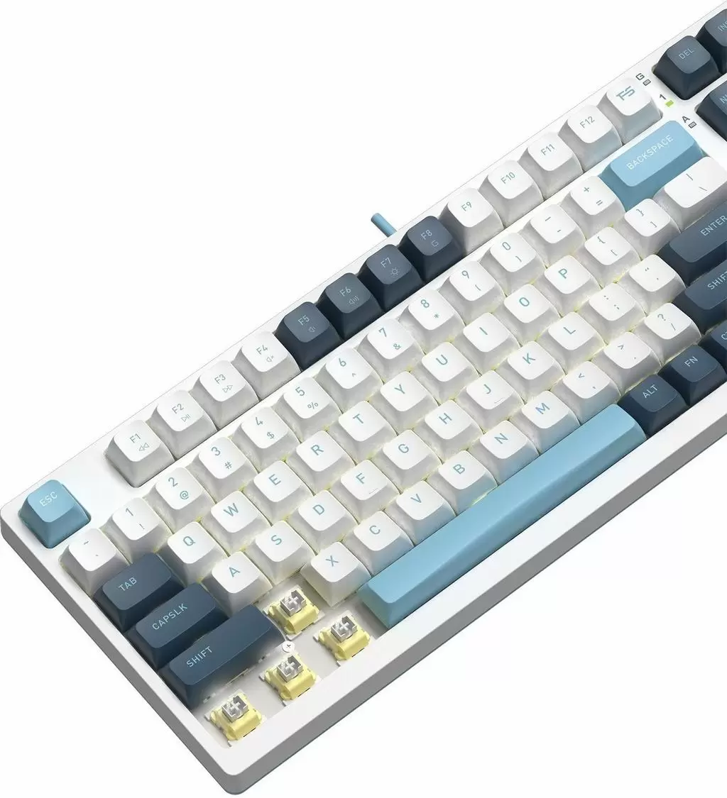 Tastatură A4Tech FS300 Panda Snowboarding, alb/albastru