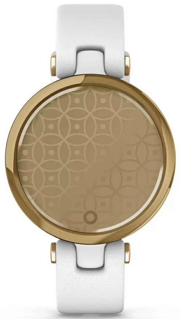 Smartwatch Garmin Lily LightGold White Leather