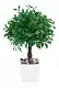 Искусственное дерево Cilgin K201MS Basil 17см