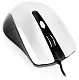 Mouse Gembird MUS-4B-01-BS, negru/argintiu