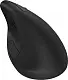 Mouse HP 920 Ergonomic, negru