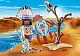 Игровой набор Playmobil Native American Chief
