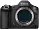 Системный фотоаппарат Canon EOS R5 Mark II Body V5 GHz, черный