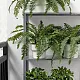 Искусственное растение IKEA Fejka interior/exterior 15см