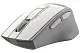 Мышка A4Tech Fstyler FG30, белый/серый