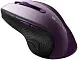 Mouse Canyon MW-01, negru/violet