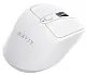 Mouse Havit MS61WB, alb
