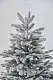 Brad artificial Divi Trees Collection Elite Premium Snow 2.1m, verde pe tehnoparc.md Brad artificial Divi Trees Collection Elite Premium Snow 2.1m, verde
