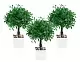 Искусственное дерево Cilgin K201MS Basil 17см