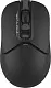 Mouse A4Tech FB12S, negru