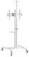 Suport TV de podea Gembird TVS-70T-02-W, alb