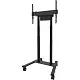 Suport TV de podea Neomounts FL55-875BL1, negru