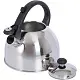 Ceainic Domotti Ponti 1.5L, inox