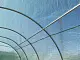 Парник (теплица) GardenLine TUN5613 6x3x2m