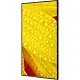 Panou informativ Nec M651-2, negru