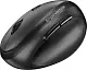 Mouse Genius Ergo 8350S, gri