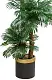Искусственное дерево Cilgin A006B Branched Palms 2м