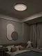 Потолочный светильник Xiaomi Yeelight Arwen Ceiling Light 450C