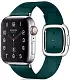 Curea VPG Apple Watch Tethys Green 40 mm, verde