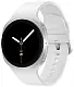 Smartwatch Samsung Watch8 40mm, argintiu pe tehnoparc.md Smartwatch Samsung Watch8 40mm, argintiu