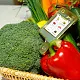 Tester de nitrați Greentest ECO 6, auriu