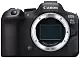 Системный фотоаппарат Canon EOS R6 Mark II, Body, черный