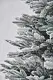 Brad artificial Divi Trees Collection Elite Premium Snow 2.1m, verde pe tehnoparc.md Brad artificial Divi Trees Collection Elite Premium Snow 2.1m, verde