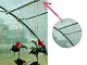 Парник (теплица) GardenLine TUN5613 6x3x2m
