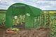 Парник (теплица) GardenLine TUN5620 8x3x2m