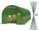 Парник (теплица) GardenLine TUN5620 8x3x2m