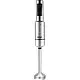 Blender Raf R.3027, inox pe tehnoparc.md Blender Raf R.3027, inox