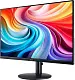 Монитор Acer SA243YG0bi, черный на tehnoparc.md Монитор Acer SA243YG0bi, черный