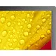 Panou informativ Nec M651-2, negru