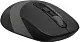 Mouse A4Tech FG10, negru/gri