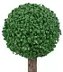 Искусственное дерево Cilgin CLG09TOP Clover 40см
