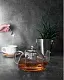 Ceainic pentru infuzie Tadar Carina 1.2L, transparent