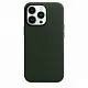 Husă de protecție Apple iPhone 13 Pro Max, verde