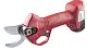 Secatore cu baterie Raider RD-PSH02